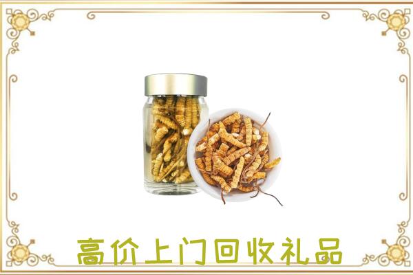 铜川市周边回收虫草